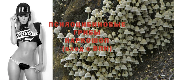 круглые Алзамай