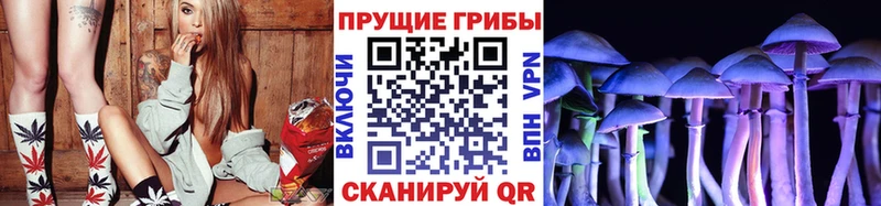 как найти закладки Тогучин Галлюциногенные грибы MAGIC MUSHROOMS